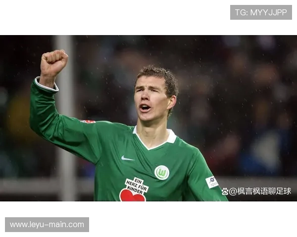 沃尔夫斯堡主场连败未解 霍芬海姆客场展现强势 沃尔夫斯堡主场连败未解 霍芬海姆客场展现强势